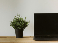 //iprorwxhlqrklk5q.ldycdn.com/cloud/ljBpqKiillSRillinnmnjq/how-to-cast-from-an-apple-laptop-to-tv.jpg
