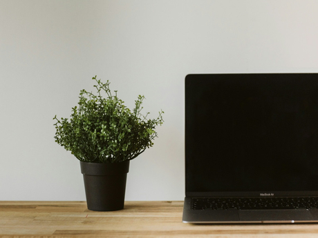 how to cast from an apple laptop to tv.jpg