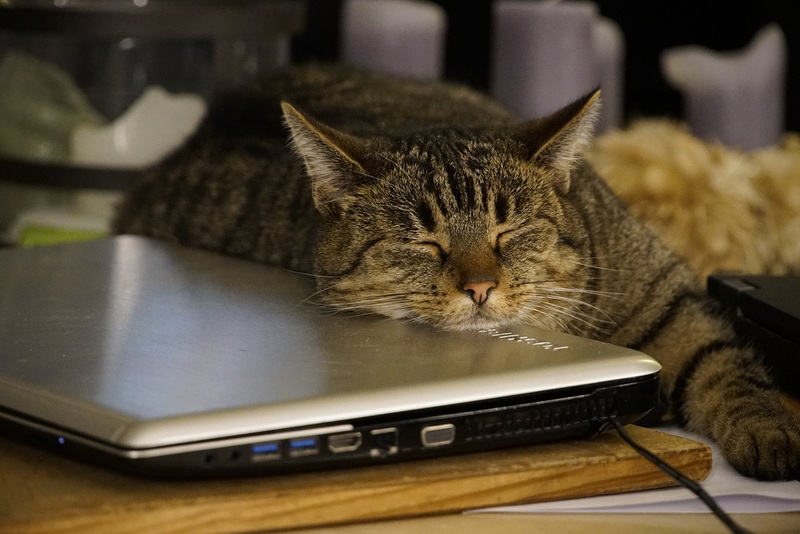how to clear laptop system storage_3