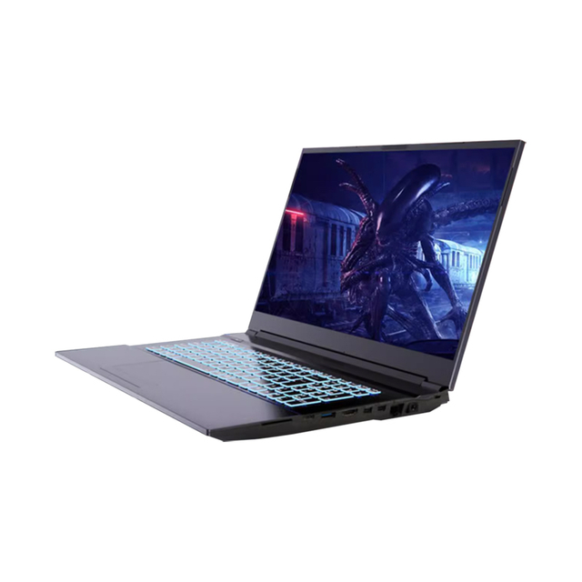 Intel® Core™ I5-11400H Processor Dual Channel DDR4 Notebook for Business/Gaming